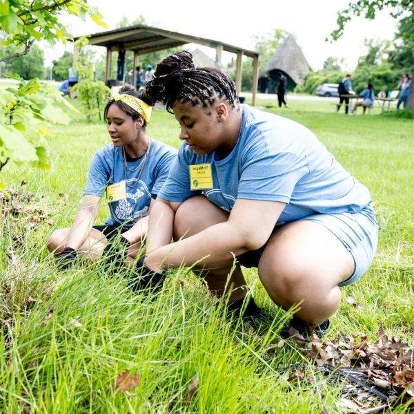 Students with University Prep Science and Math in Detroit pull weeds at Belle Isle Park.